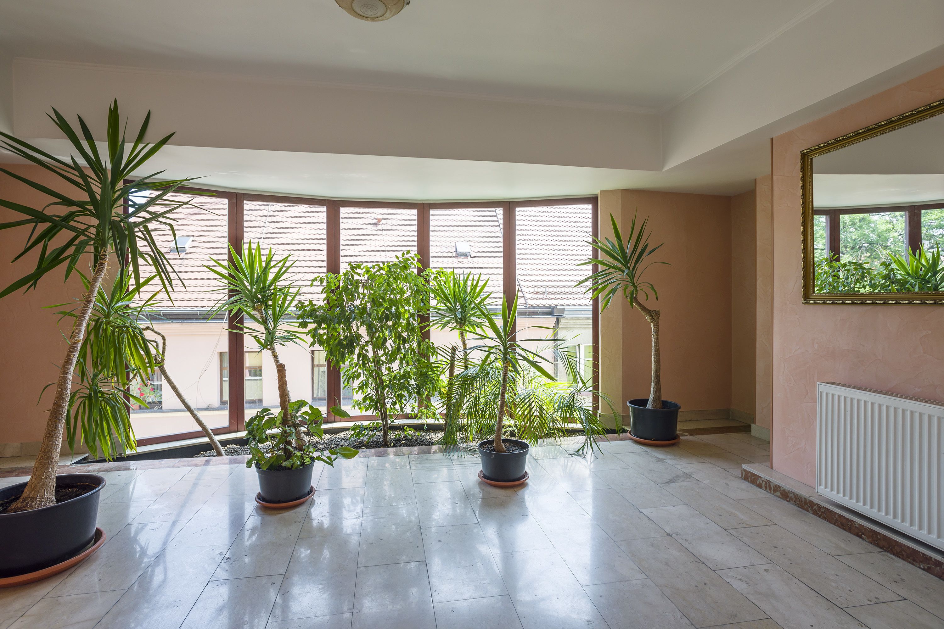 Amplia habitación con ventanas grandes, plantas en macetas y un radiador blanco.