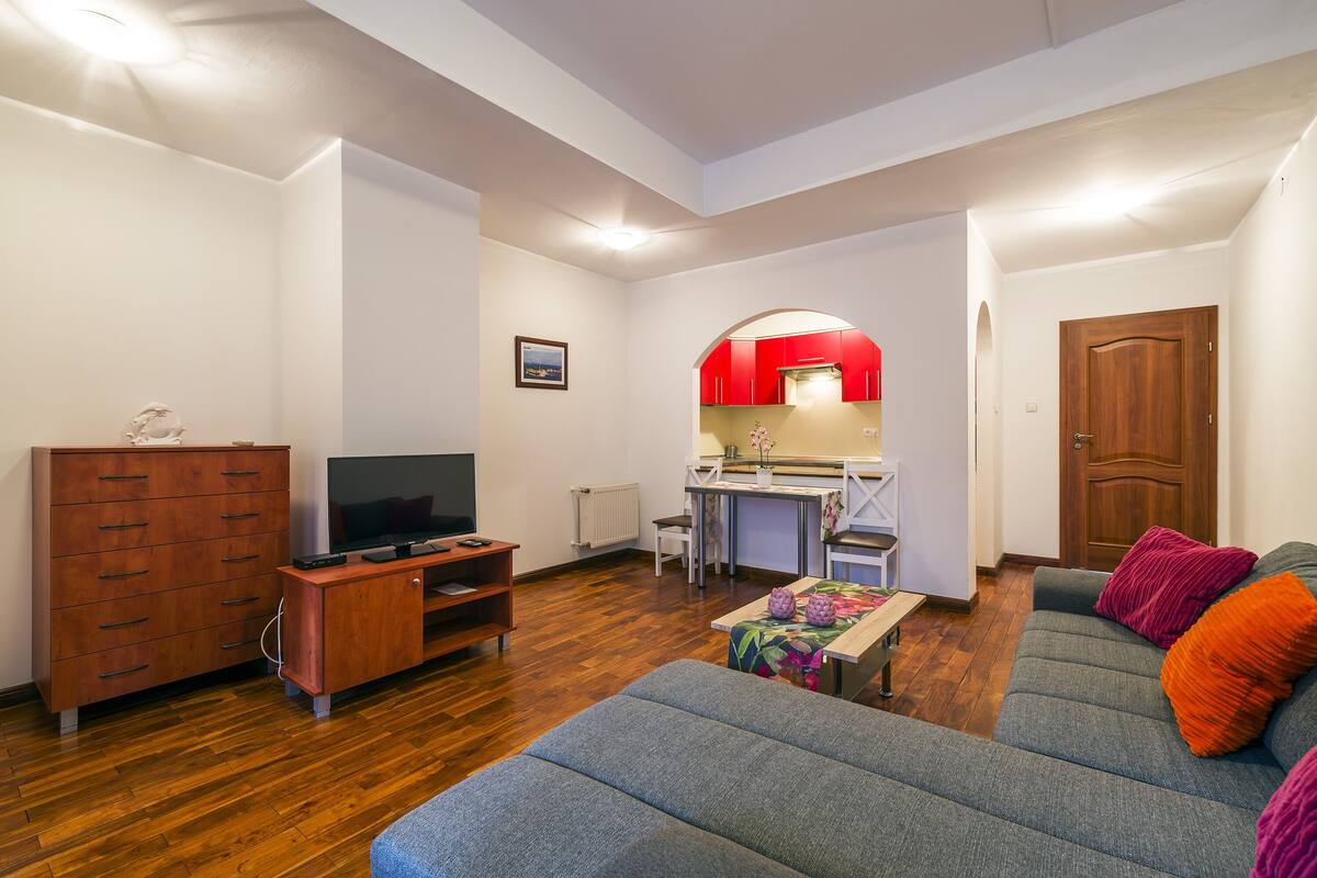 A living room with a sofa, a TV, a wooden cabinet, and a kitchenette in the background.