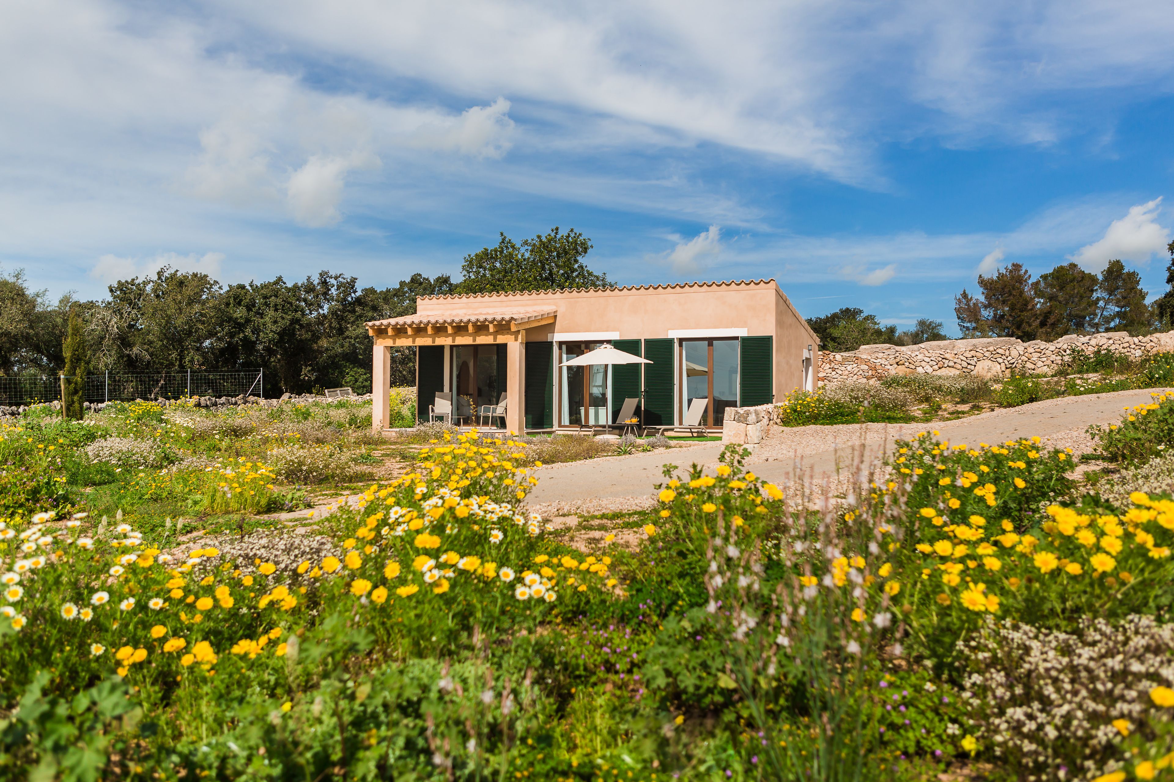 superior suite | terrace/patio