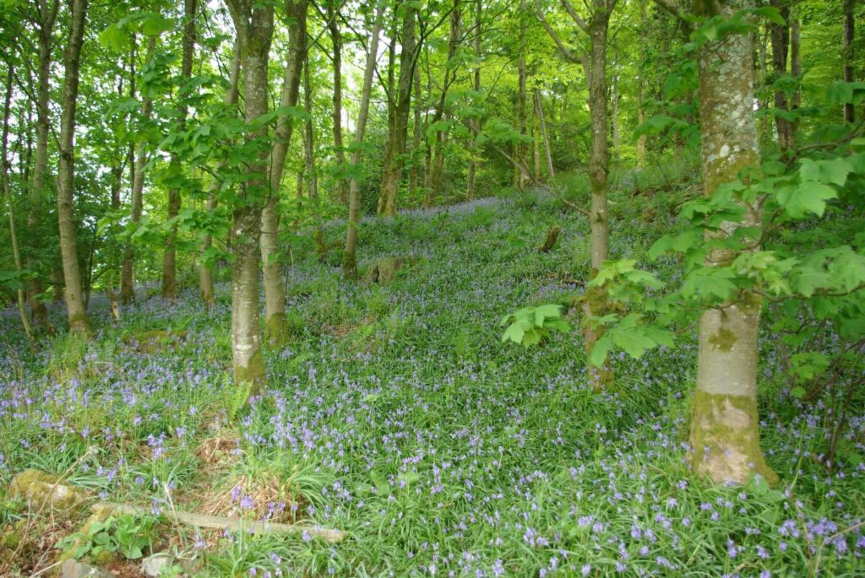 إطلالة على الشارع من المنشأة