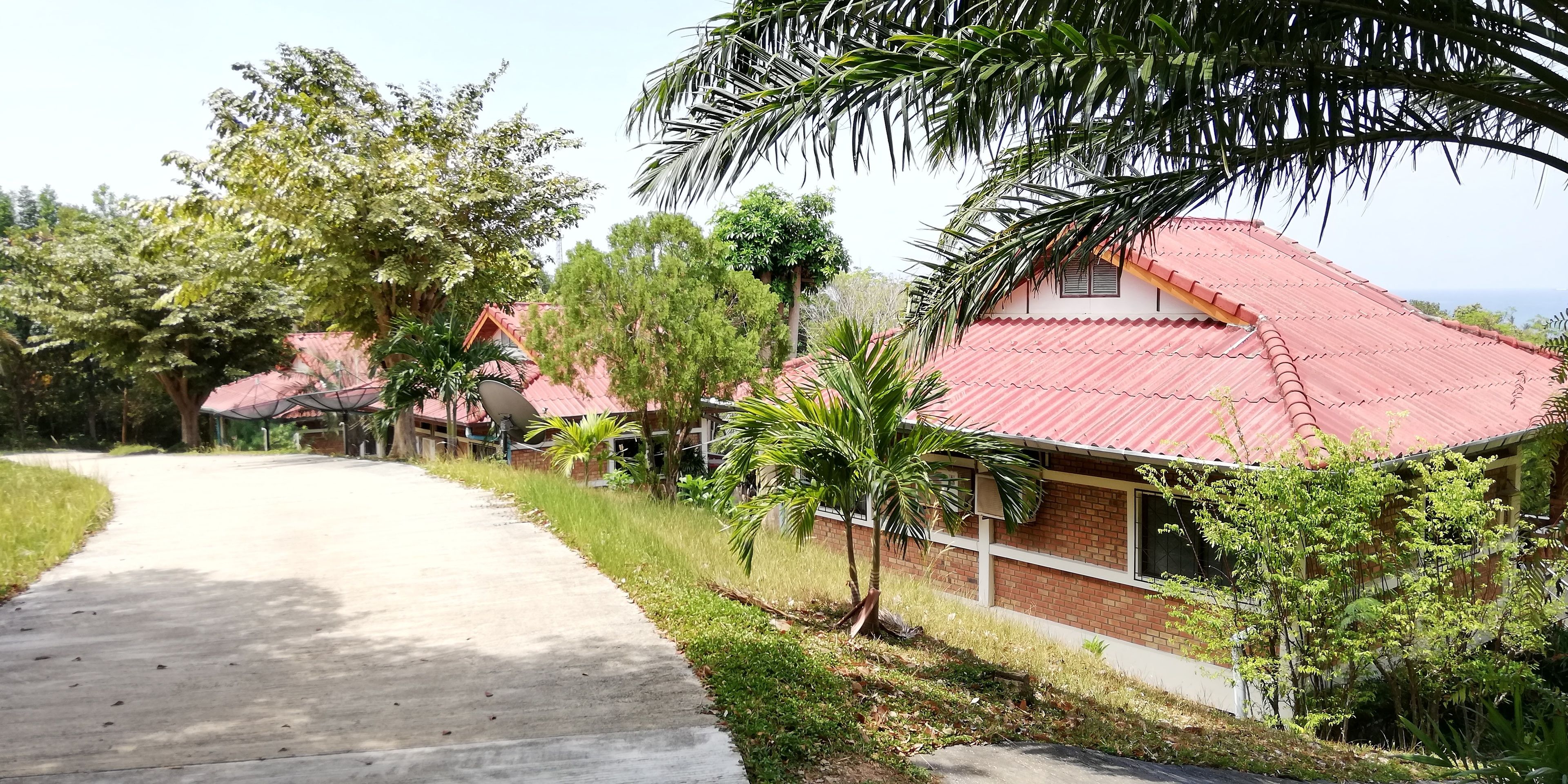 A pathway leading to a building with a red roof, surrounded by greenery and trees.