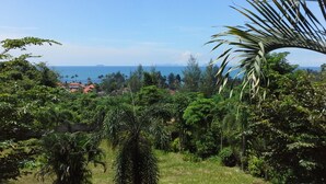 A lush green landscape with dense foliage and a clear view of the ocean in the distance. - Freedom Estate (Ko Lanta)