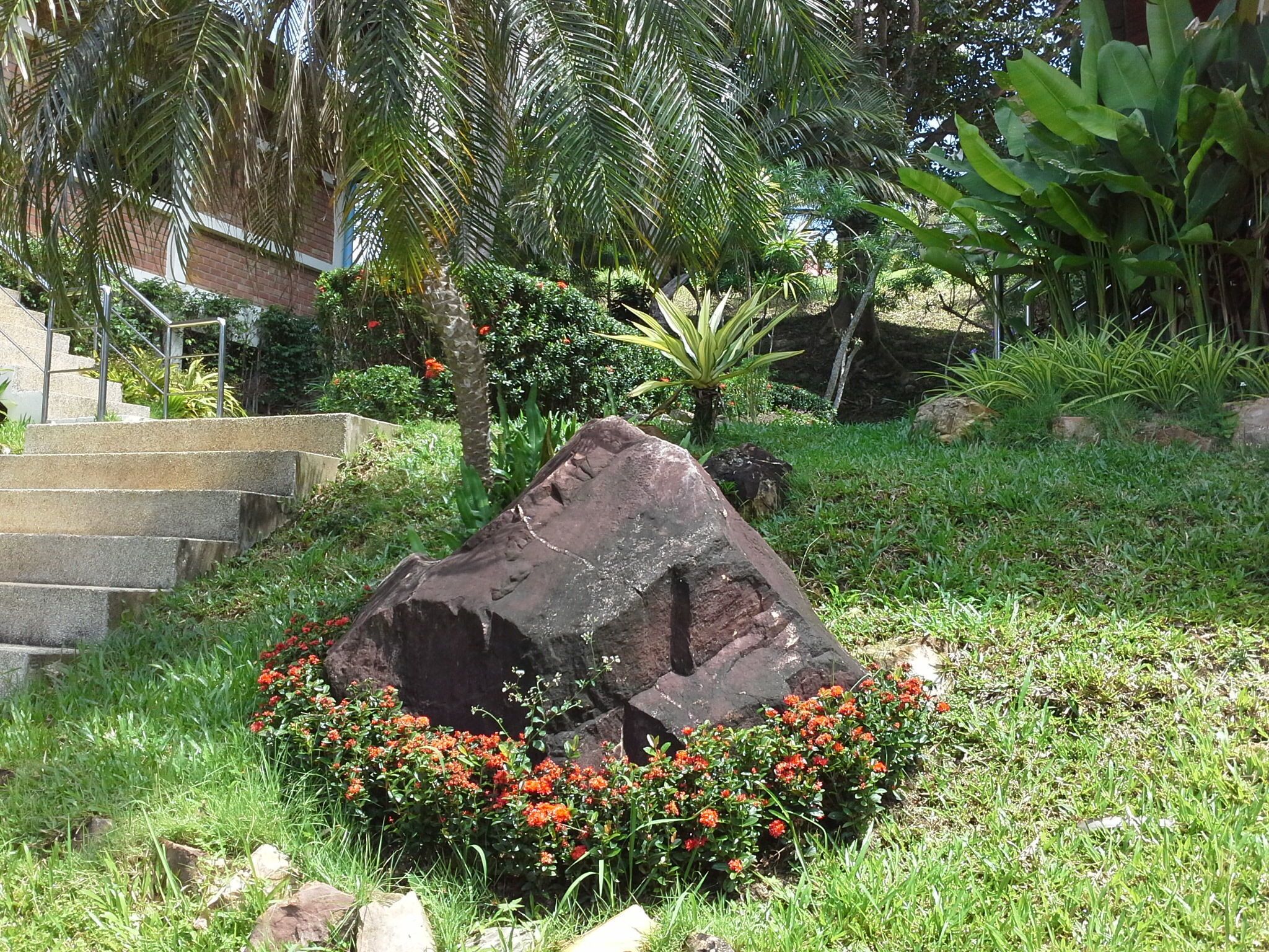 A garden with a large rock centerpiece, surrounded by red flowers and various plants.