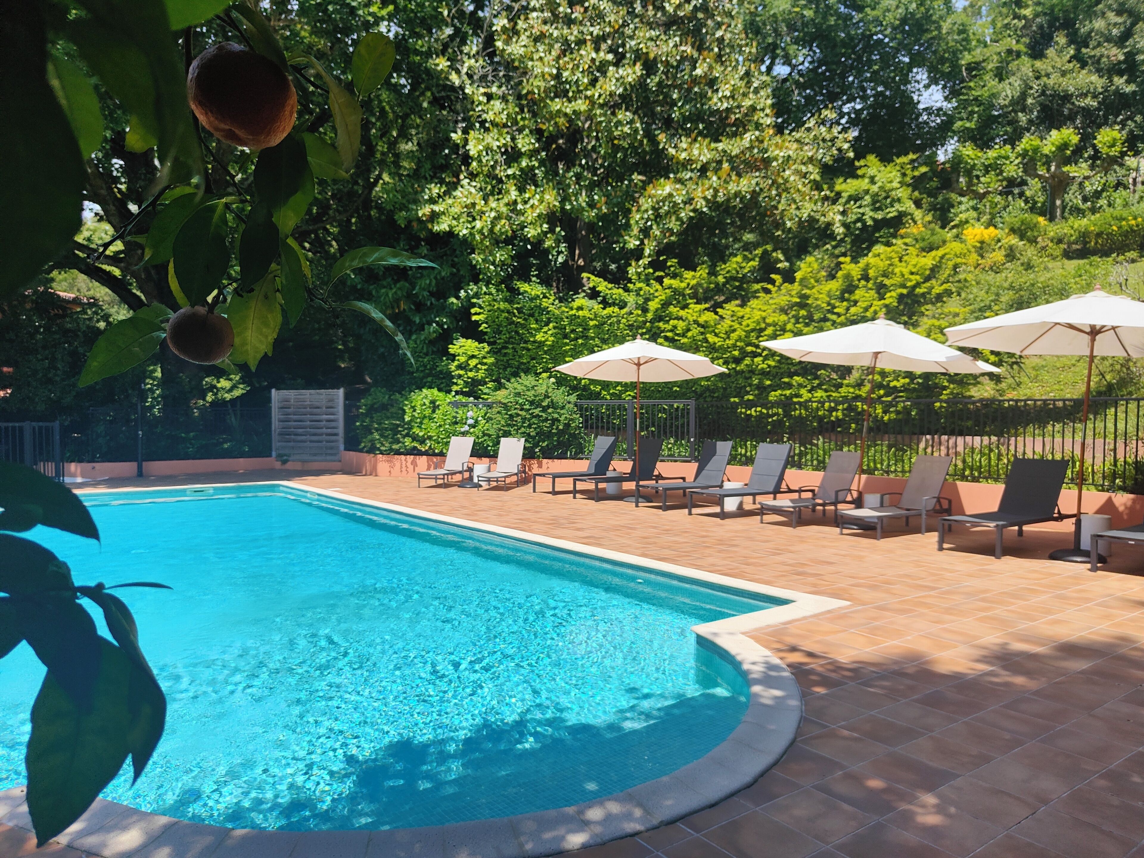 A swimming pool with lounge chairs and umbrellas, surrounded by greenery.