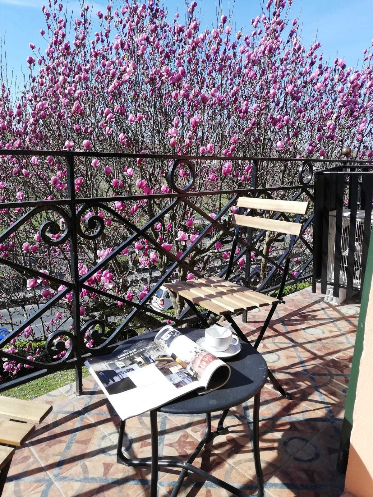 A balcony with two wooden chairs and a table, a metal railing, and a view of pink flowering trees.