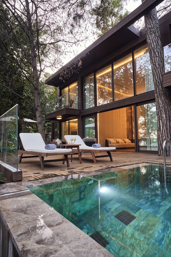 Premium Villa, 1 King Bed | Private pool