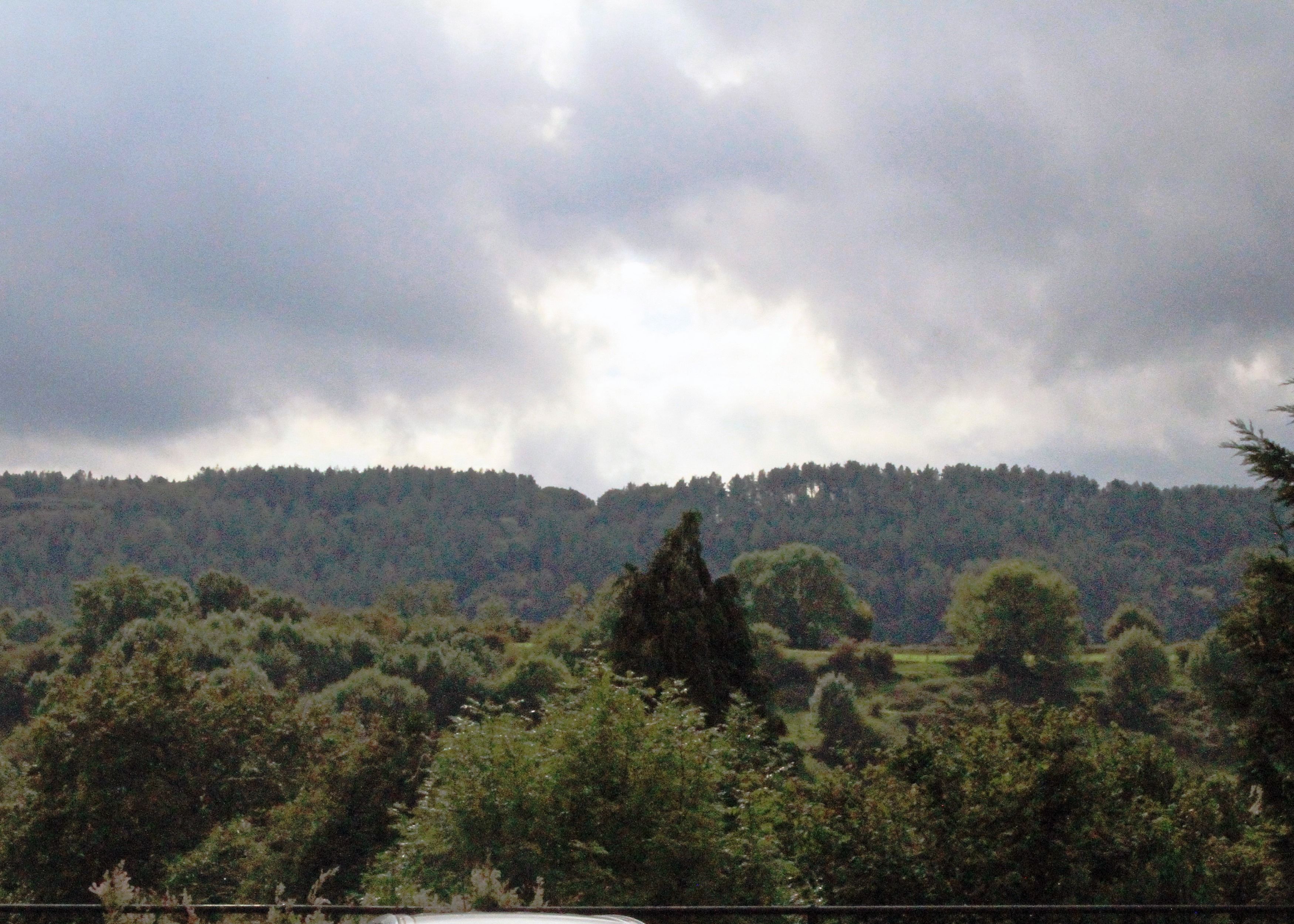 Paisagem com uma colina coberta de árvores e um céu nublado.