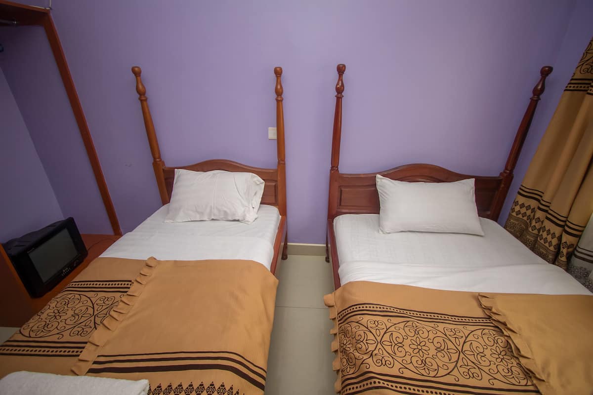 Standard Twin Room | Desk, WiFi (free)