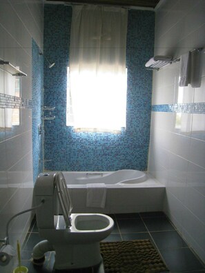 Shower, free toiletries, hair dryer, slippers