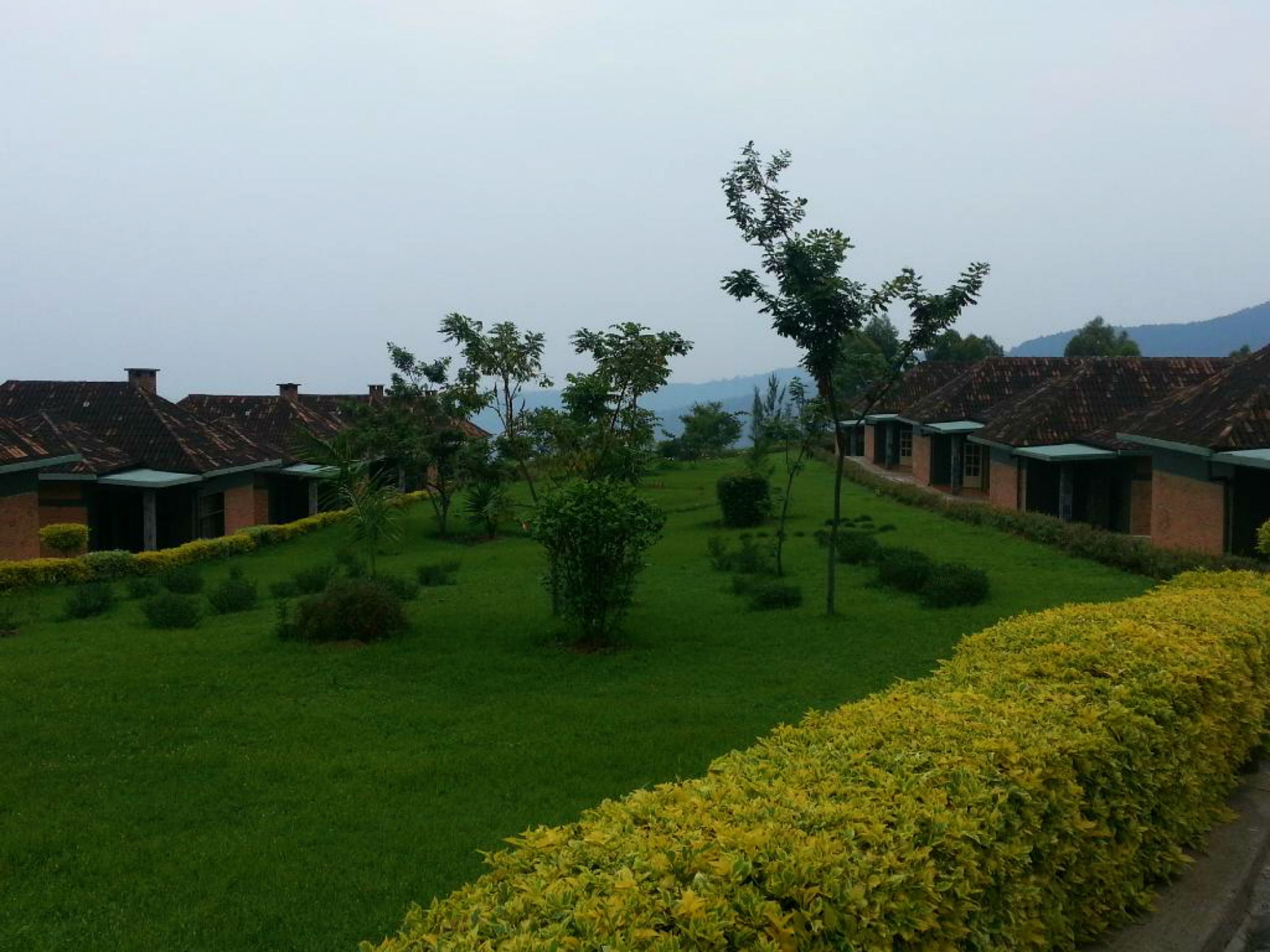 A row of brick buildings with green roofs, surrounded by well-maintained lawns and hedges.