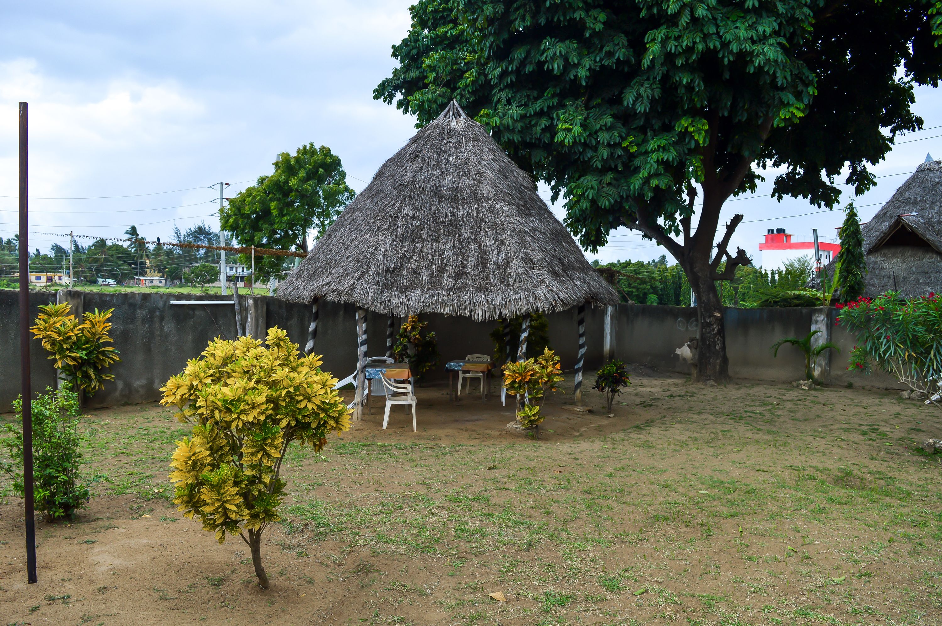A thatched-roof hut with a small table and chairs in front, surrounded by greenery and a dirt ground.