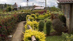A garden pathway with various plants and a small building in the background. - Oloolua Resort & Campground (Ngong)
