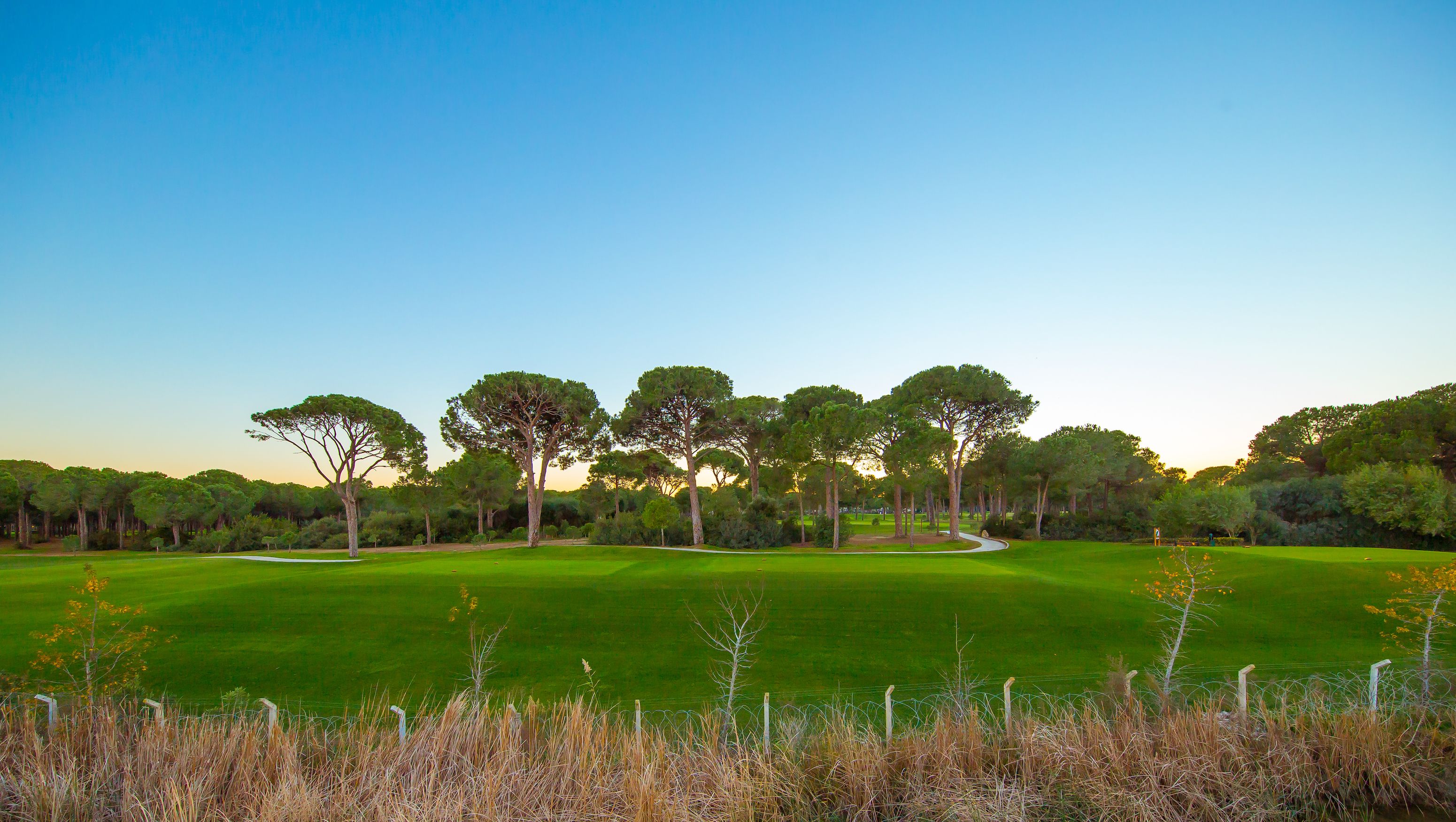 Foto - EV Apartments