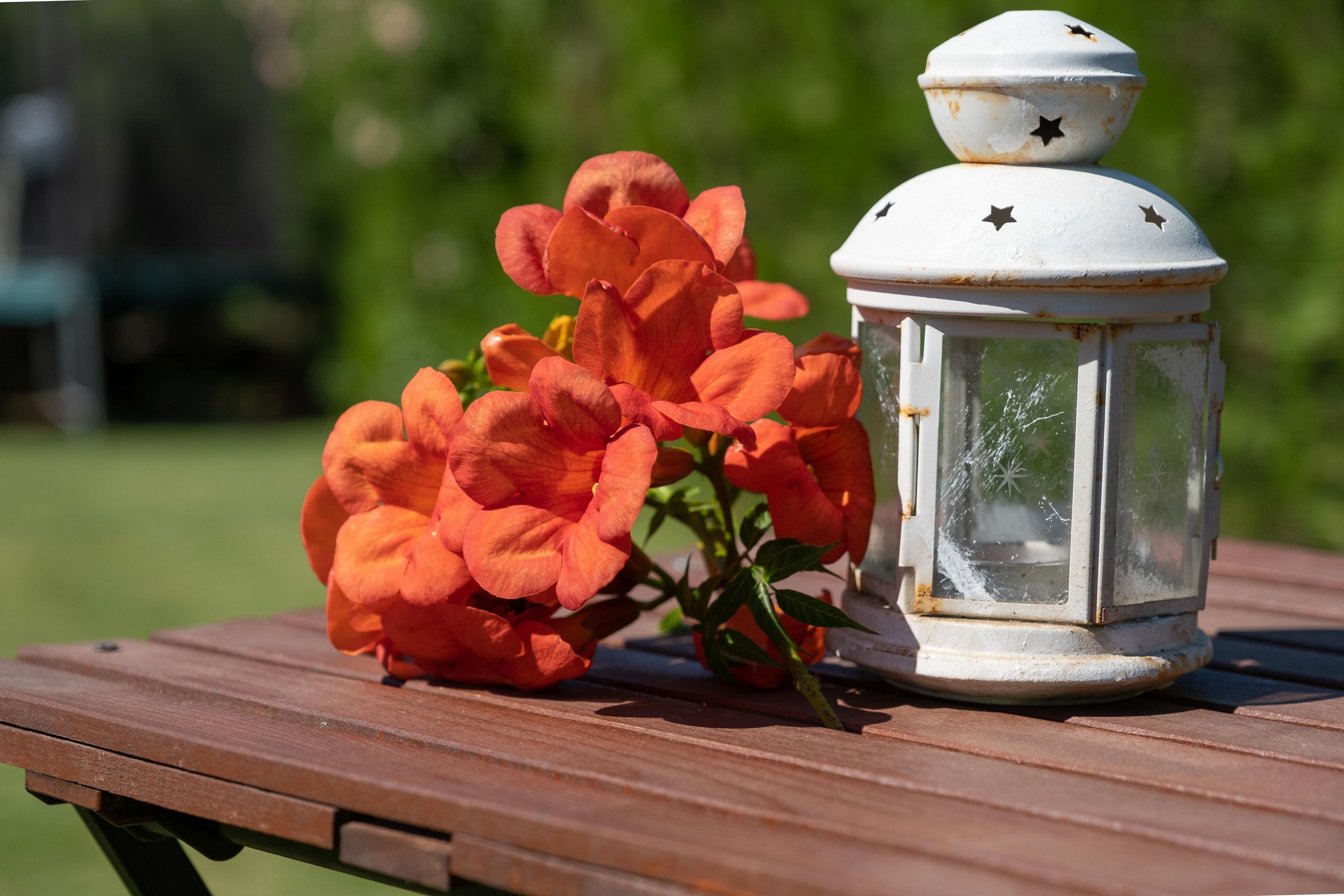 Foto - EV Apartments