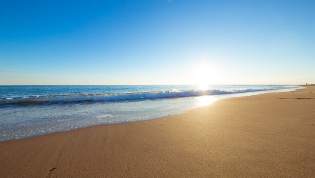 A beach with a clear sky and sunlight reflecting on the sand. - EV Apartments (Serik)