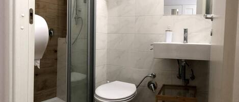 A bathroom with a glass-enclosed shower, a toilet, and a sink with a mirror above it.