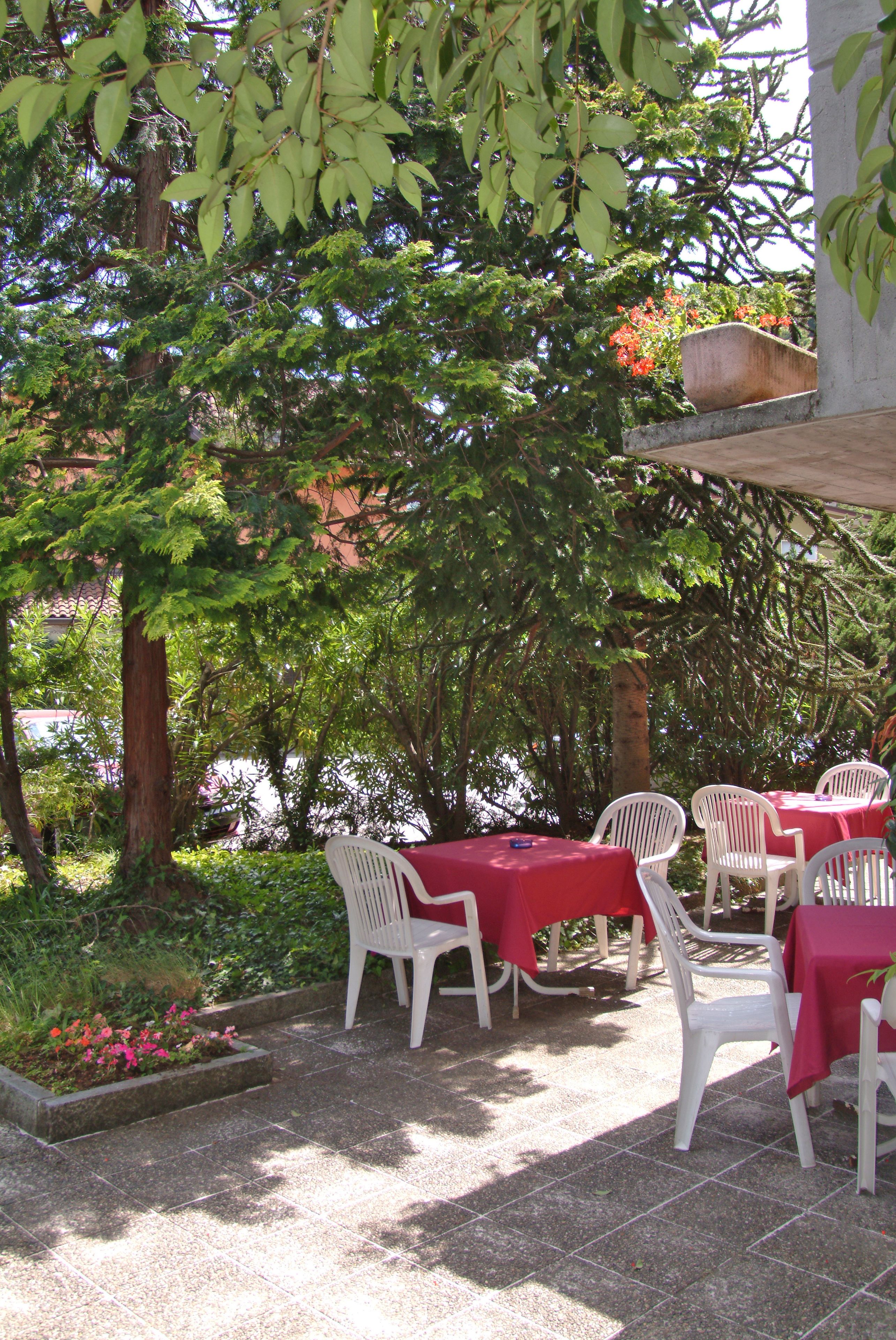 Un patio al aire libre con mesas y sillas, rodeado de follaje y árboles.