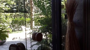 Vista a través de un ventanal a un patio con plantas en macetas y un tambor de metal.