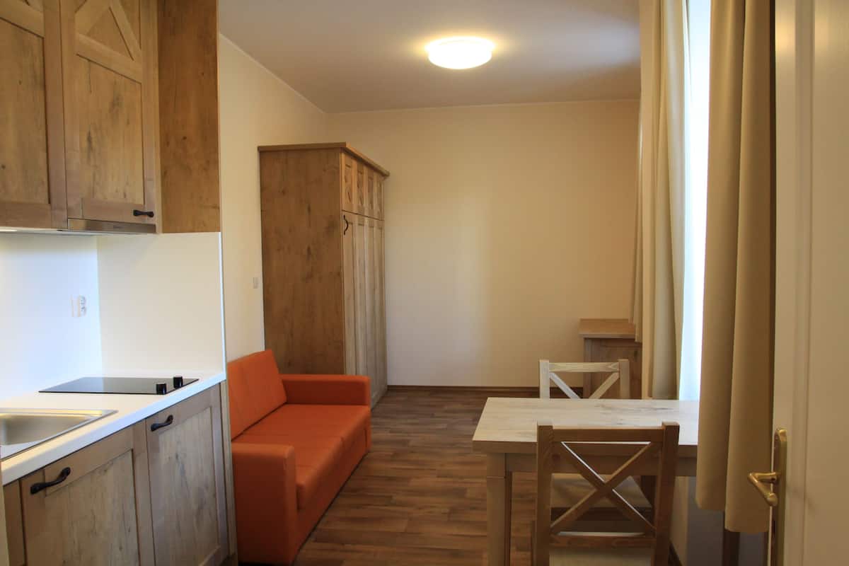 Apartment, Kitchenette (L) | Desk, soundproofing, rollaway beds, free WiFi