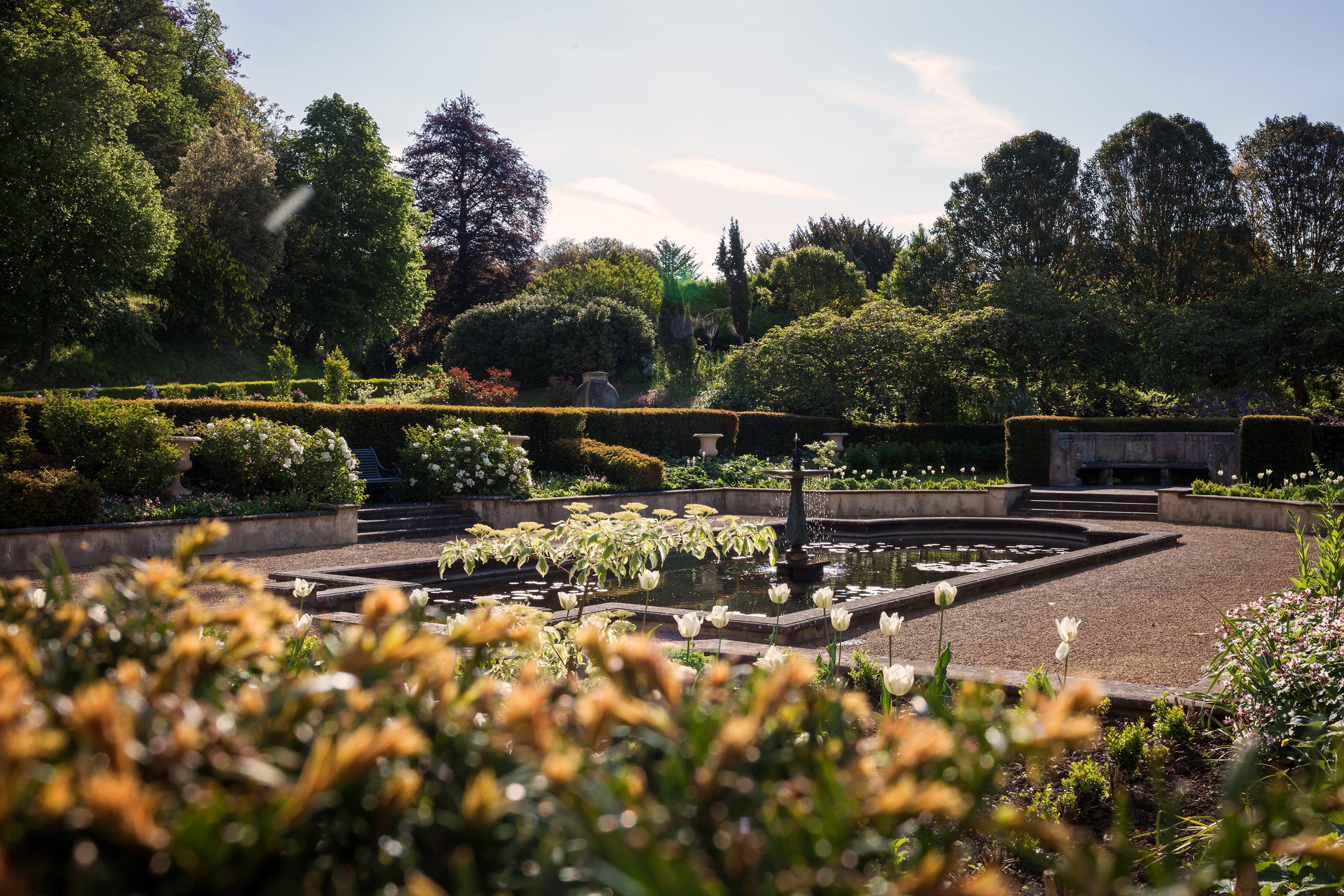 A formal garden with a central fountain, neatly trimmed hedges, and a variety of flowering plants.