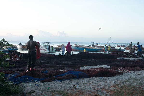 Pesca