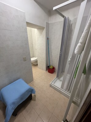 A bathroom with a shower, toilet, and a small bed with a blue cover. - Grey's House (Venice)