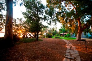 A pathway leading through a garden with trees and a stone wall. - Villa Aggeliki (Eretria)