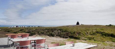 An outdoor seating area with tables and chairs, overlooking a beach and dunes.
