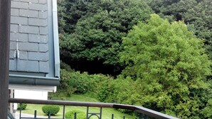 Vistas desde la habitación