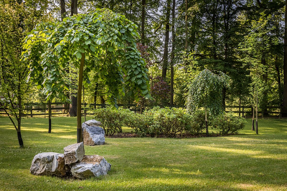 Ein gepflegter Garten mit verschiedenen Bäumen, einem Holzzaun und großen Steinen.