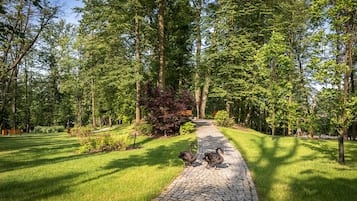 Jardín