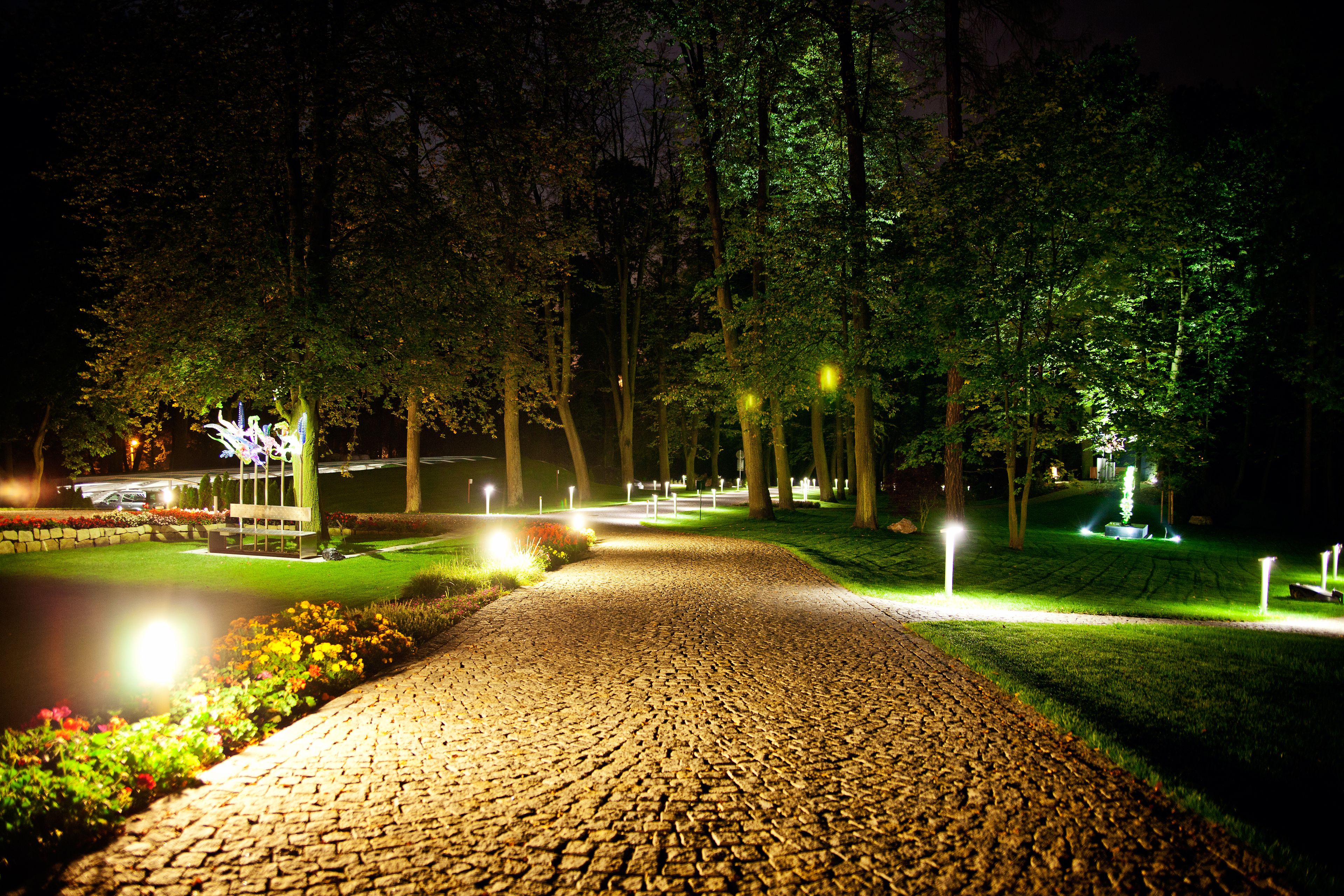 A nighttime pathway in a park with trees and illuminated lights.