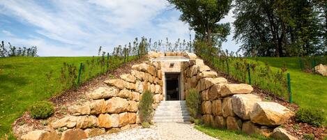 A stone staircase leading to a building entrance surrounded by a grassy area and trees.