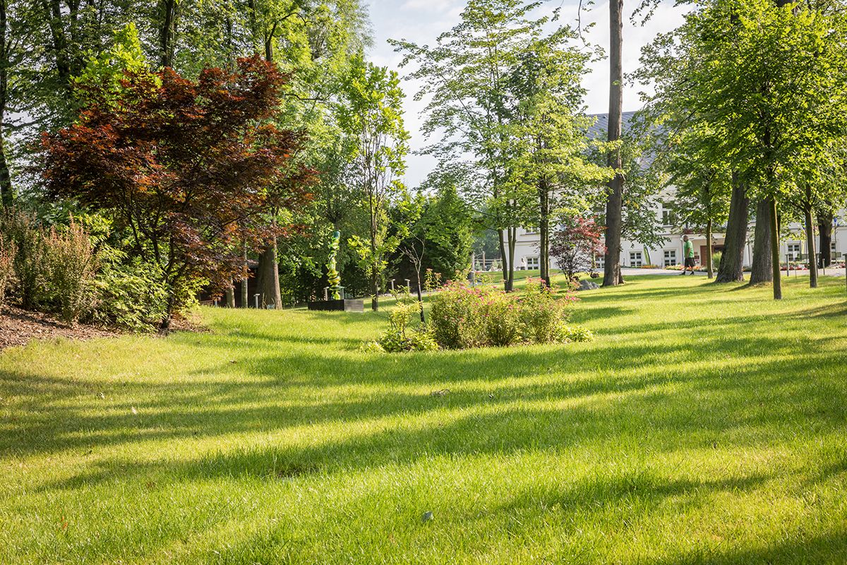 A well-maintained grassy area with trees and a building in the background.