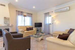 Smart-TV, Kamin