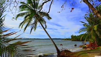 Playa en los alrededores