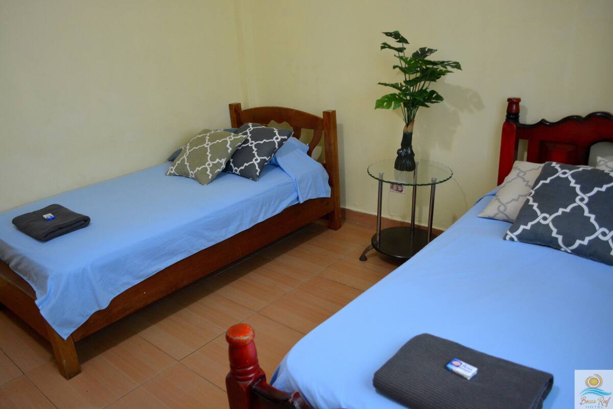 Classic Twin Room, Private Bathroom | Soundproofing, WiFi (free)