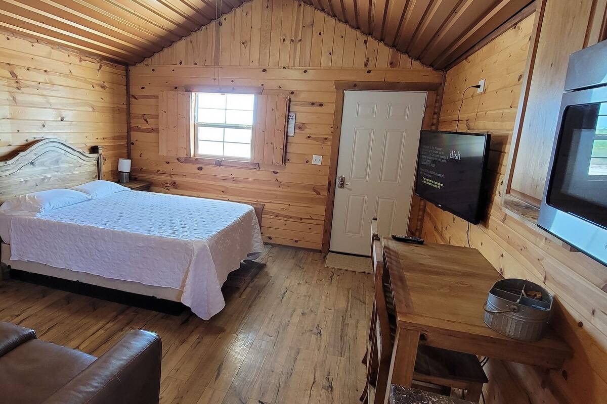 En stuga med träpanel, inredd med en säng, en tv, ett litet bord och ett fönster.