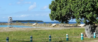 The Friendly Islander