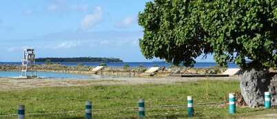 The Friendly Islander