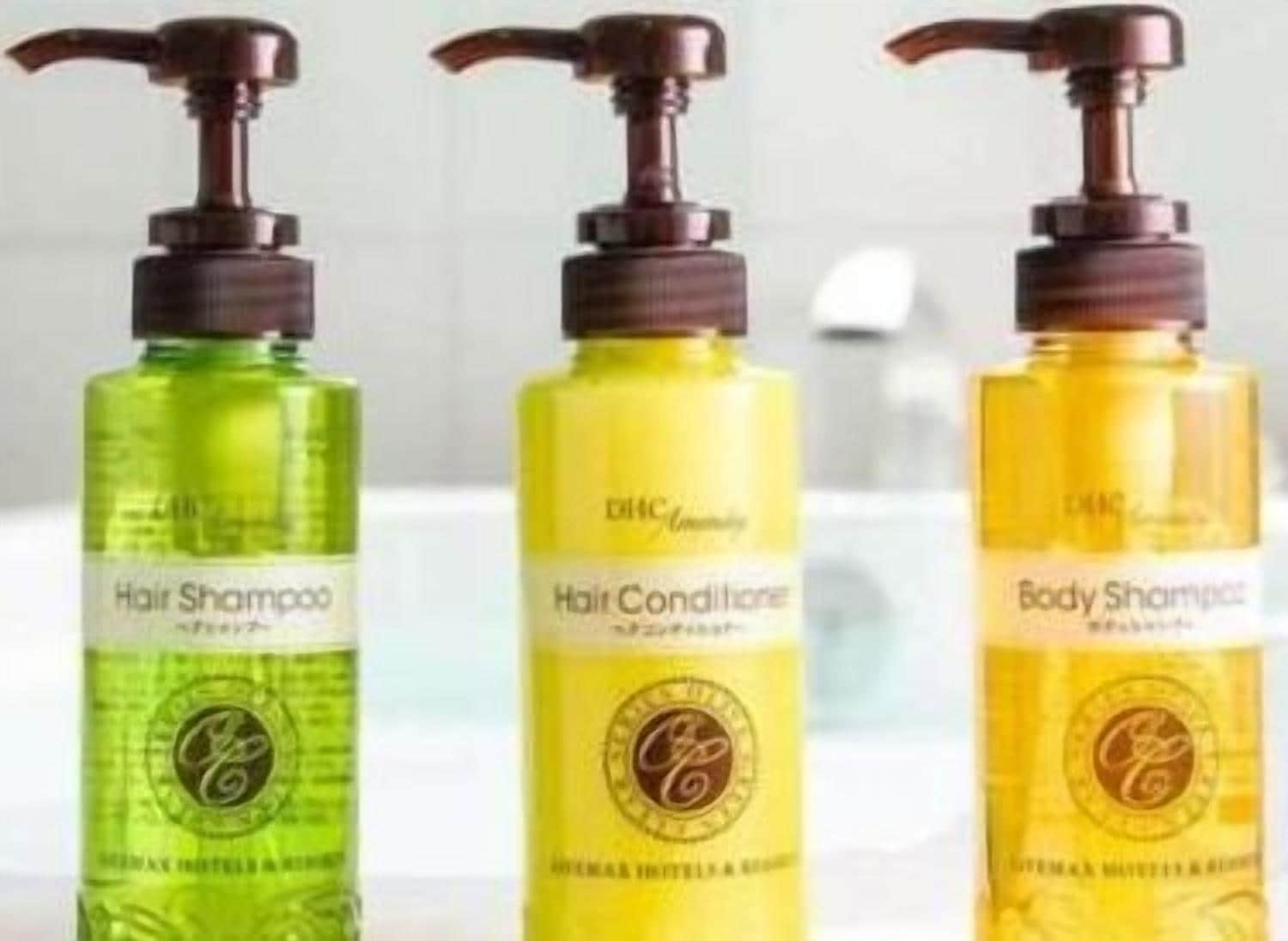 deep-soaking bathtub, hair dryer, slippers, bidet