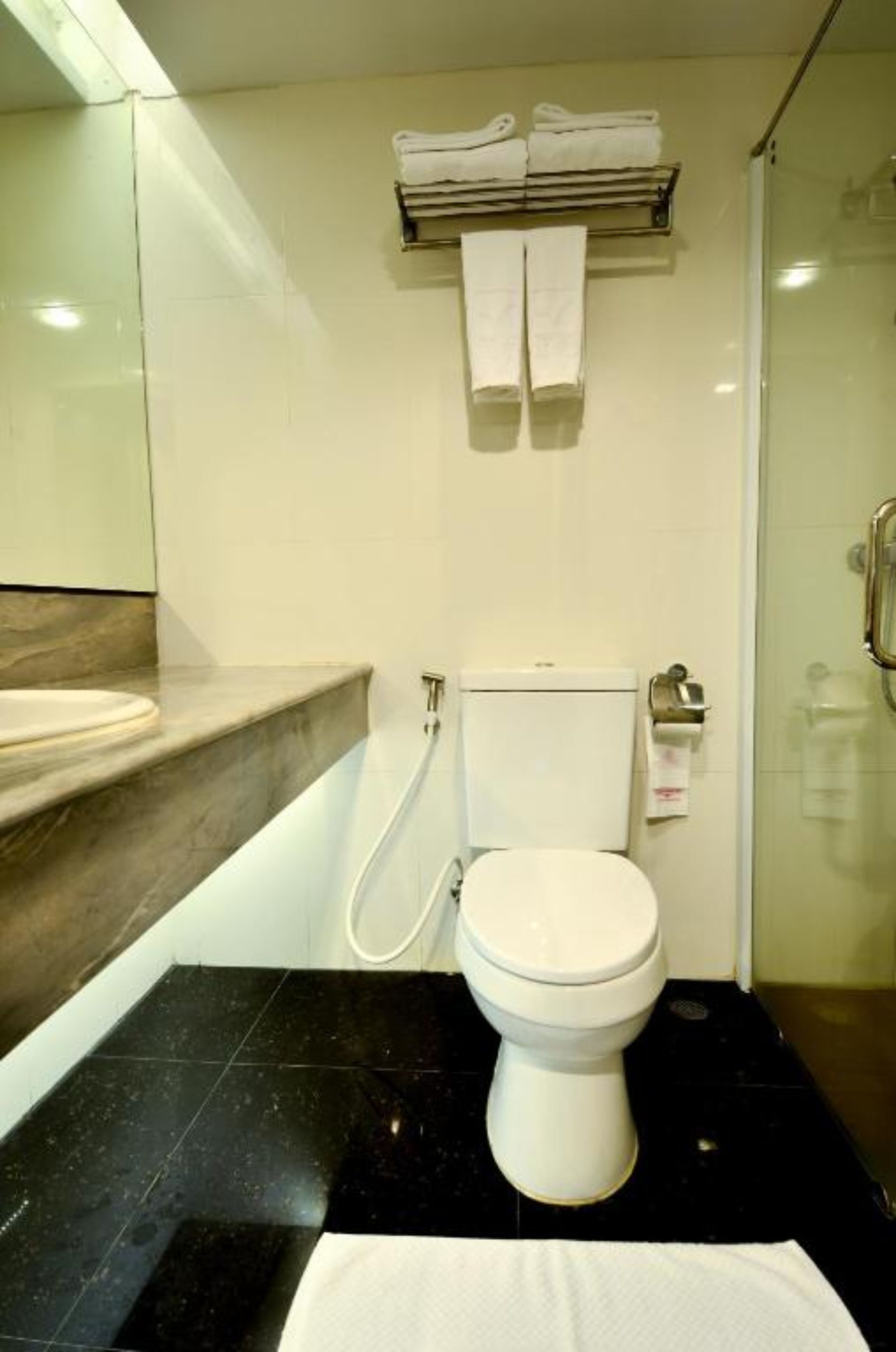 A modern bathroom with a toilet, a sink, and a glass shower enclosure.
