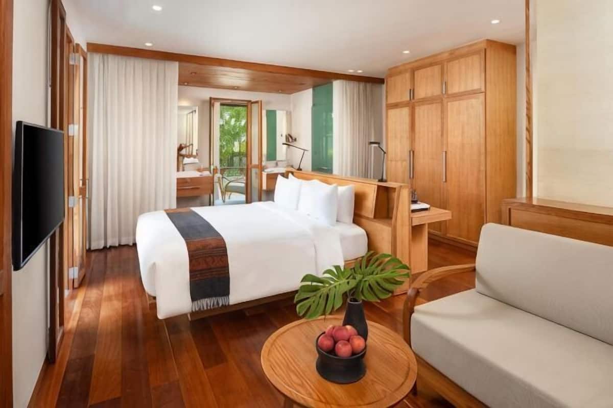 Une chambre d’hôtel avec un lit, un canapé, une télévision, un bureau et une plante.