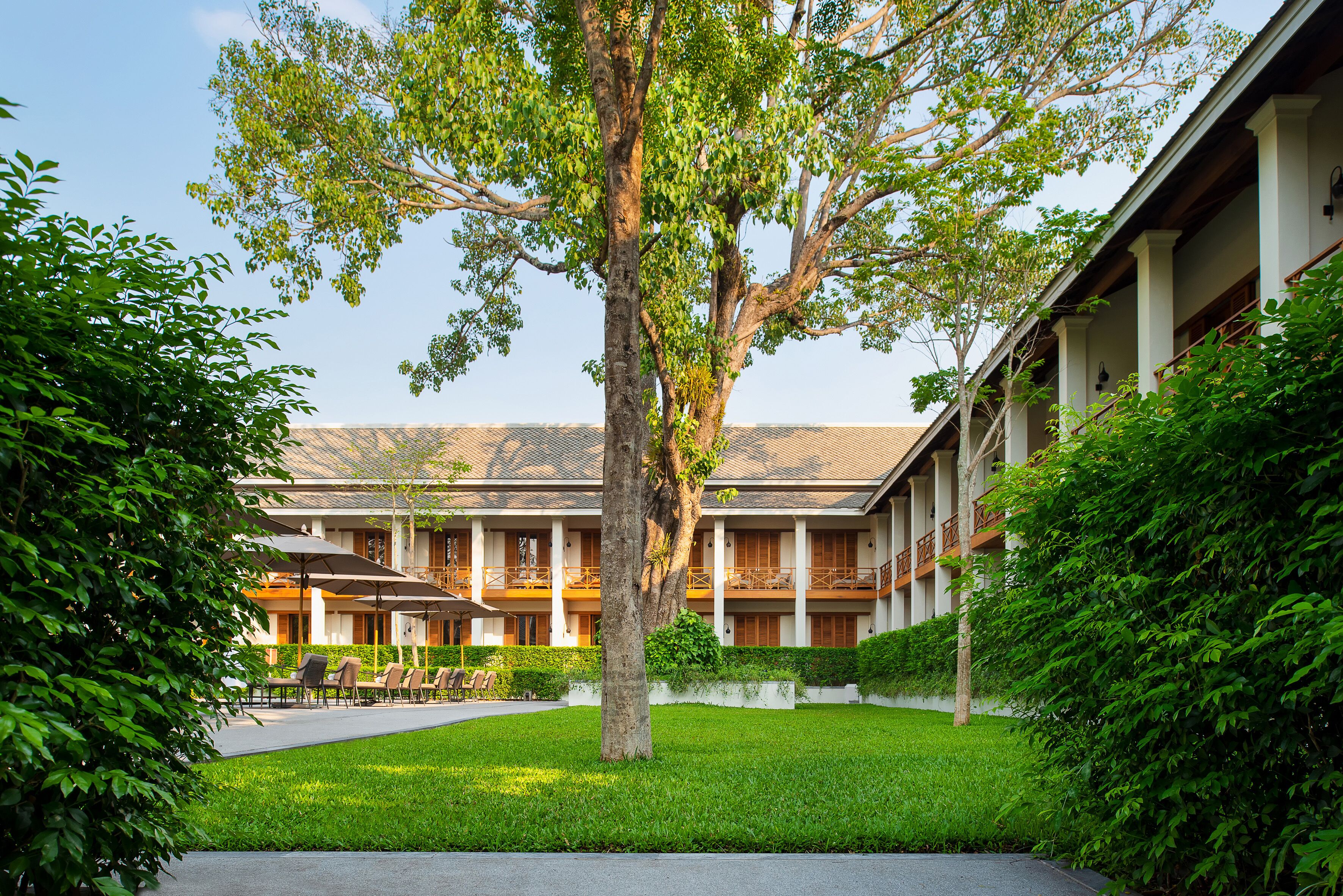 Un hôtel doté d’une cour intérieure, de sièges en plein air et d’un grand arbre.