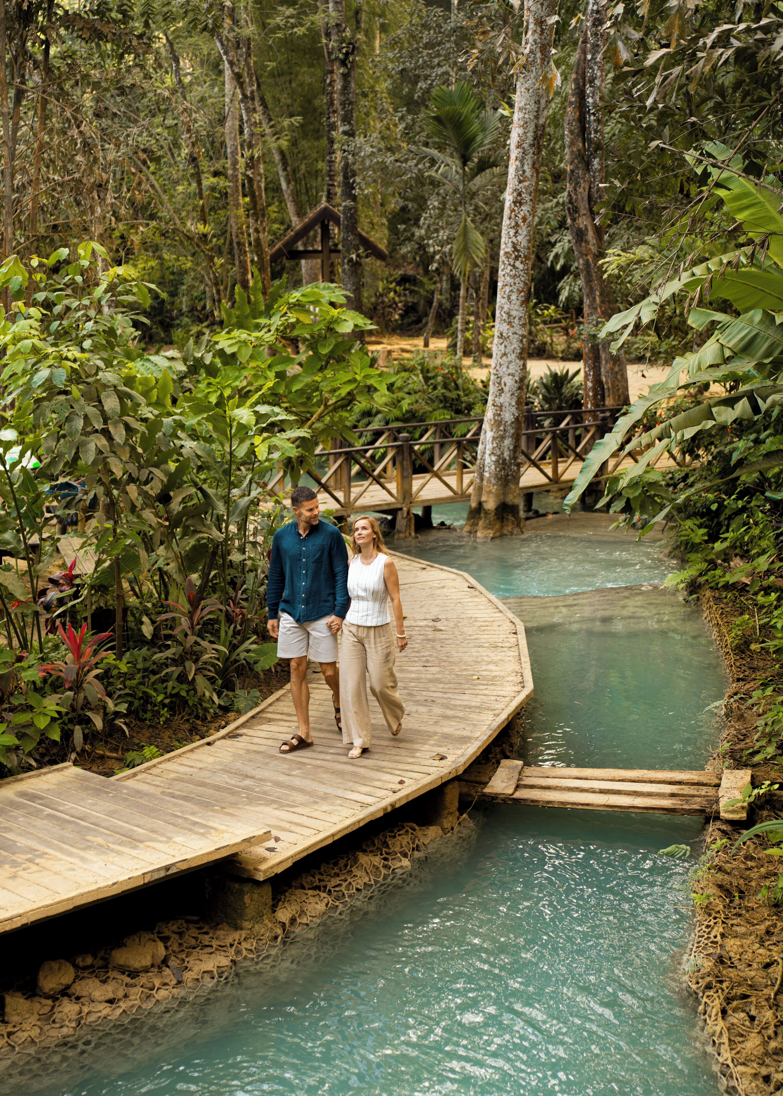 A wooden bridge over a river in a lush, tropical setting.