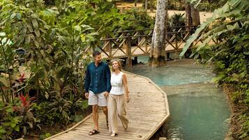 A wooden bridge over a river in a lush, tropical setting.
