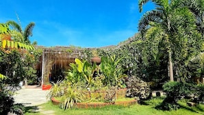 A lush garden with a variety of tropical plants, a thatched structure, and a clear blue sky. - Buddha Resort by Cocotel (Bugallon)
