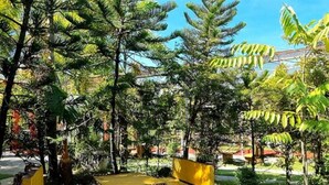 An outdoor seating area with a table and chairs, surrounded by trees and greenery. - Buddha Resort by Cocotel (Bugallon)