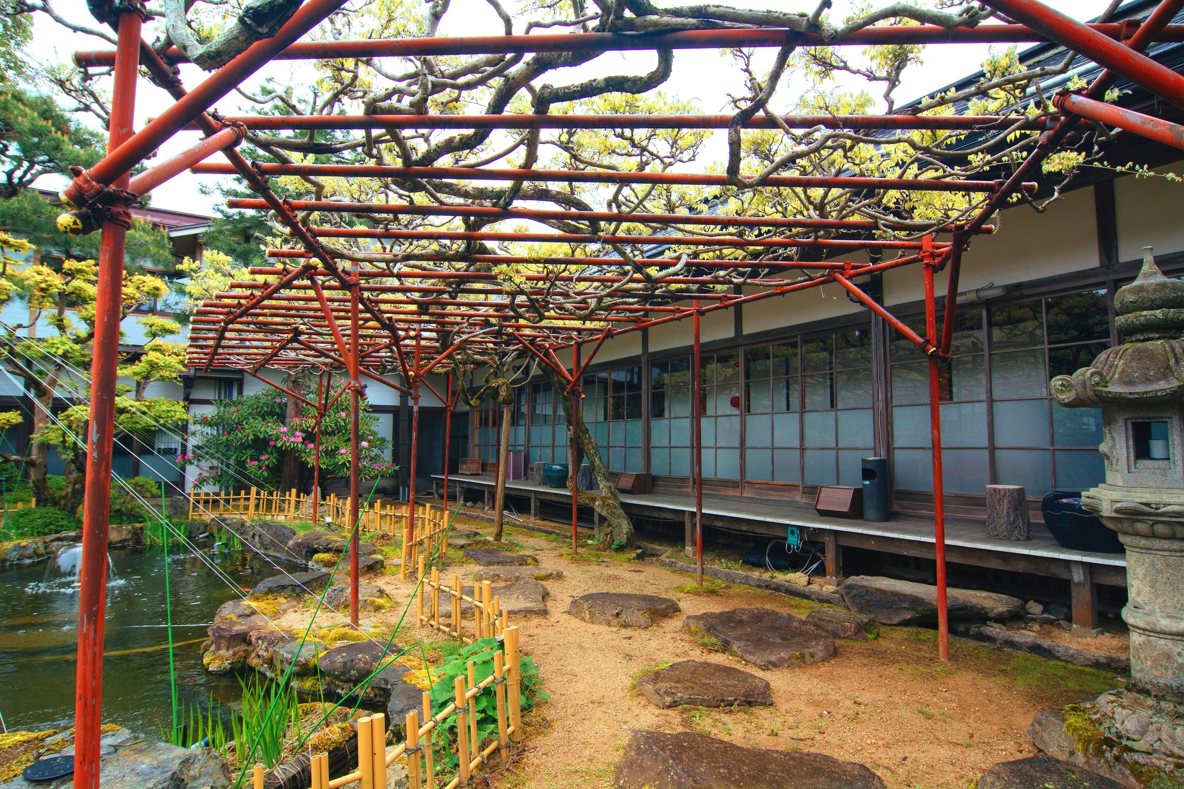 Un jardin japonais traditionnel avec une allée en bois, un bassin à carpes koï et une lanterne en pierre.