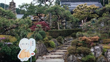 住宿景觀